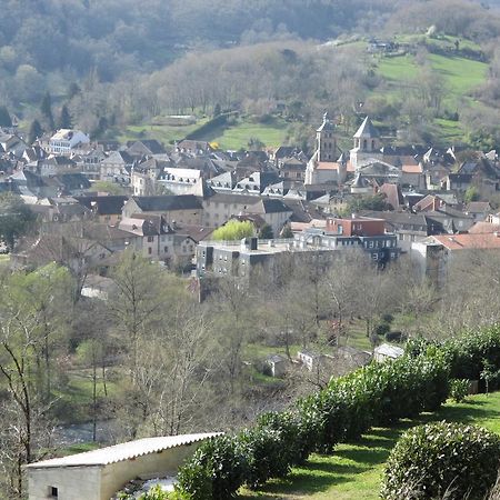 Le Petit Chat Beaulieu-sur-Dordogne Exterior foto